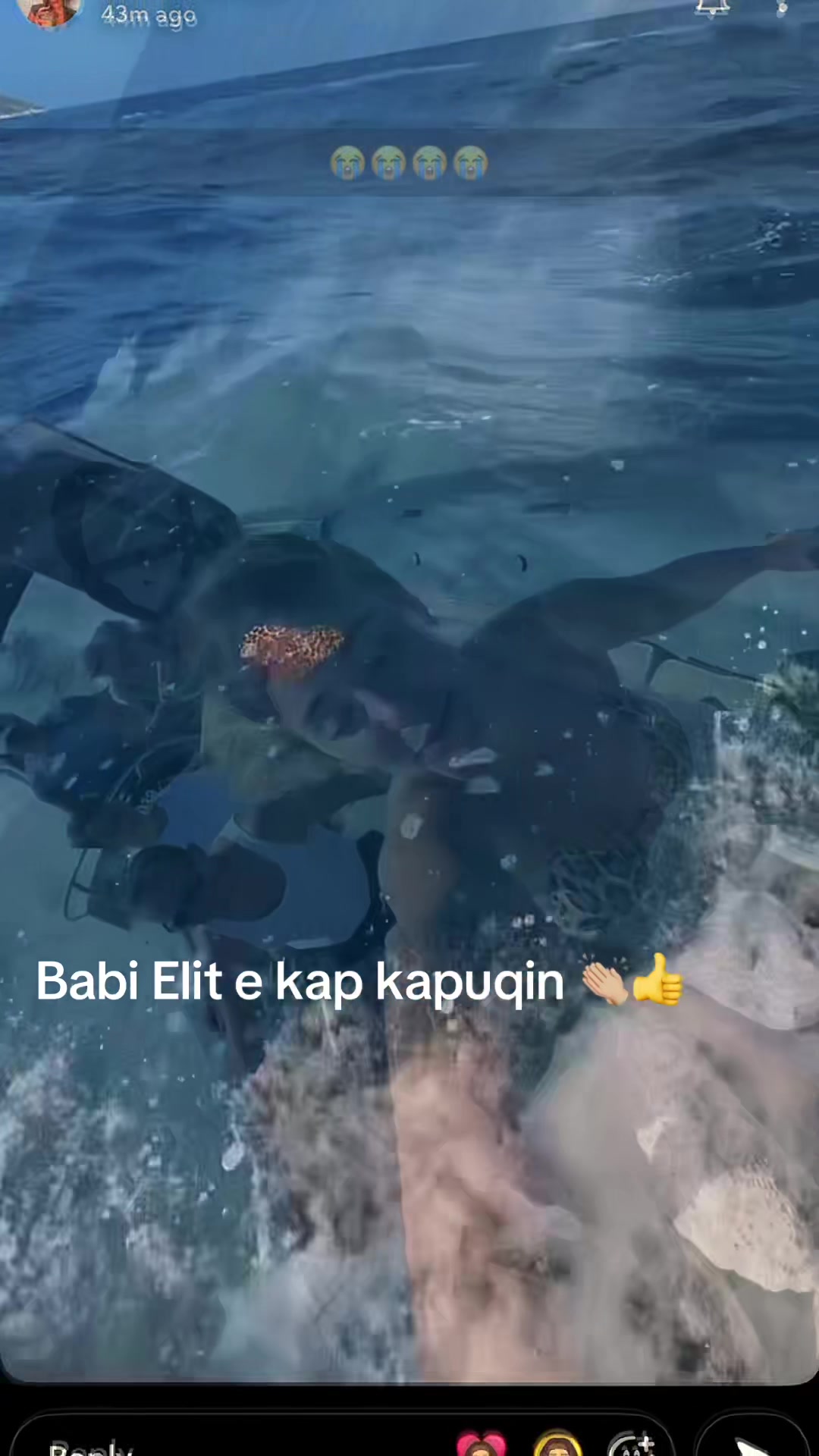 @Elijona🌸