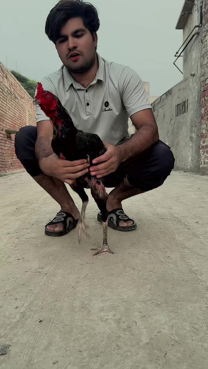 @🇹🇷الیاس بھٹی🇵🇰