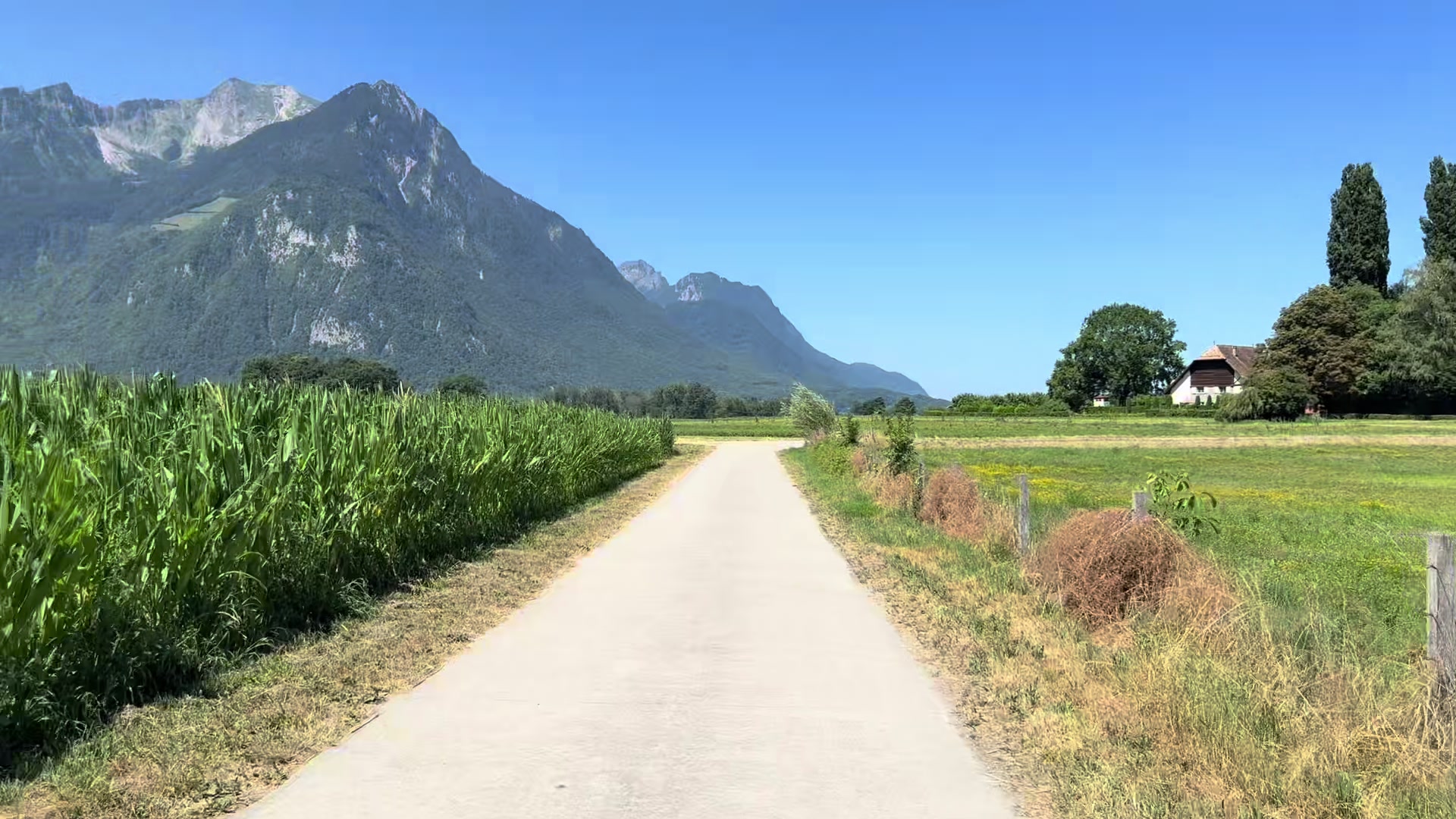 @Schyzo Swiss