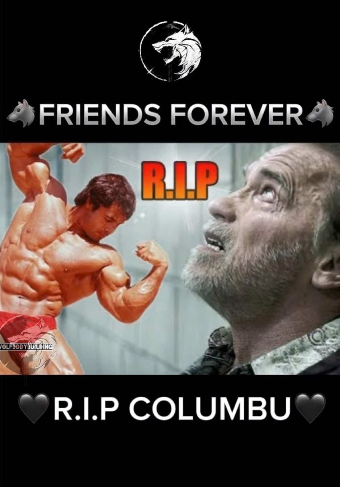 @wolfbodybuilding