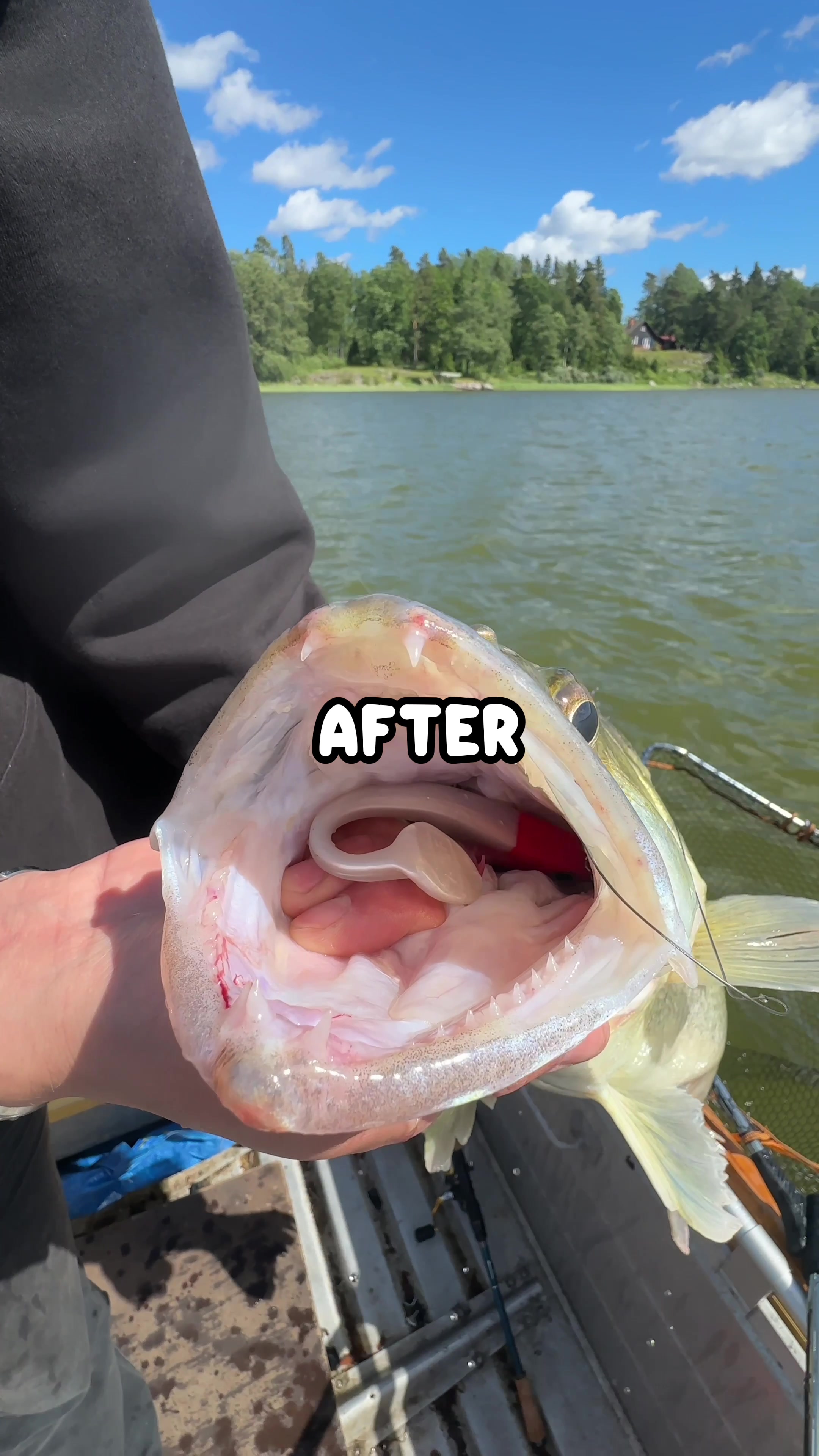 @AG Fishing