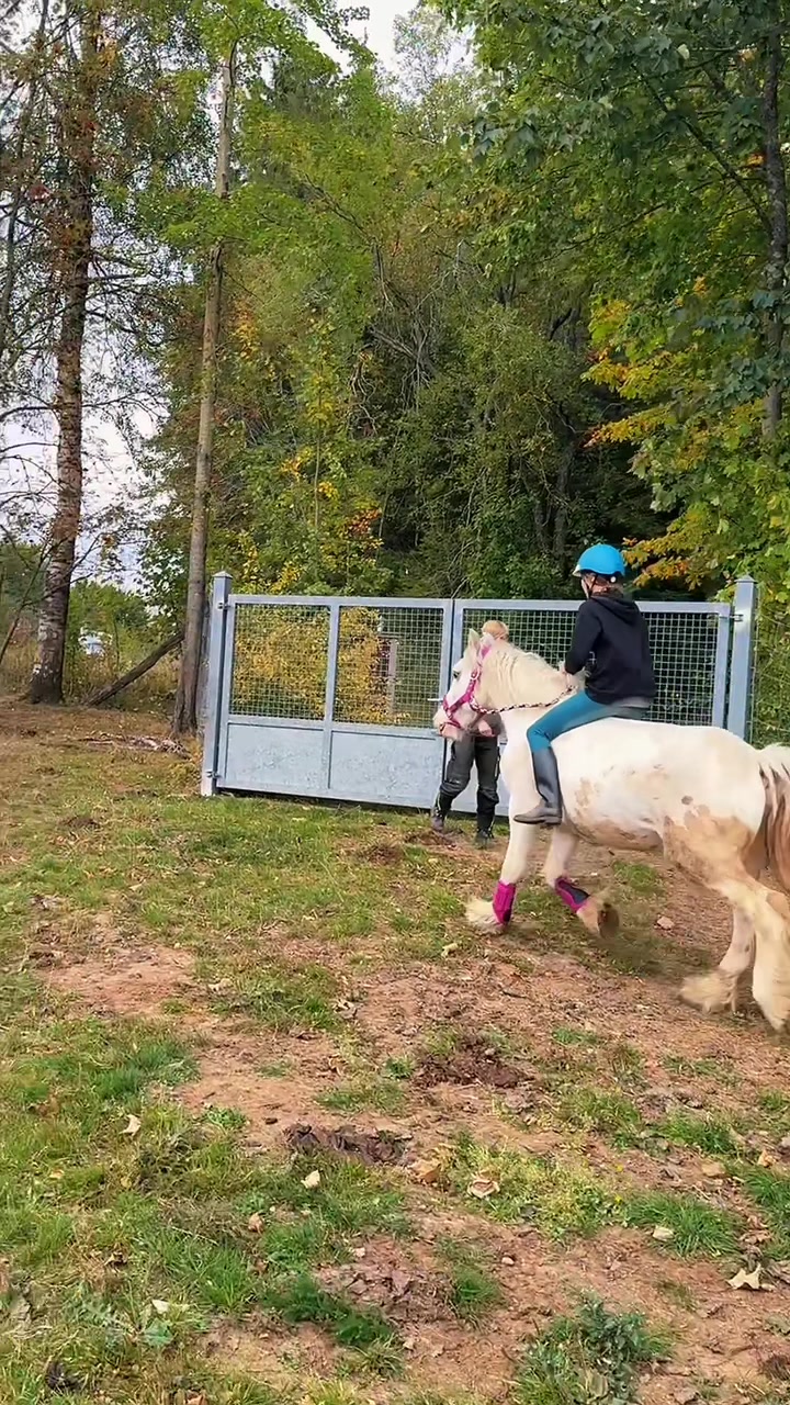 @HafiHorse2