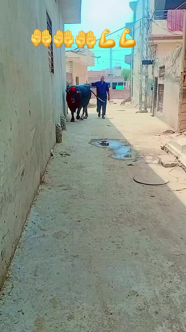 @Imran khan 😎