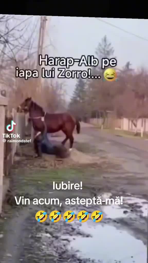 @Theo Strezoiu