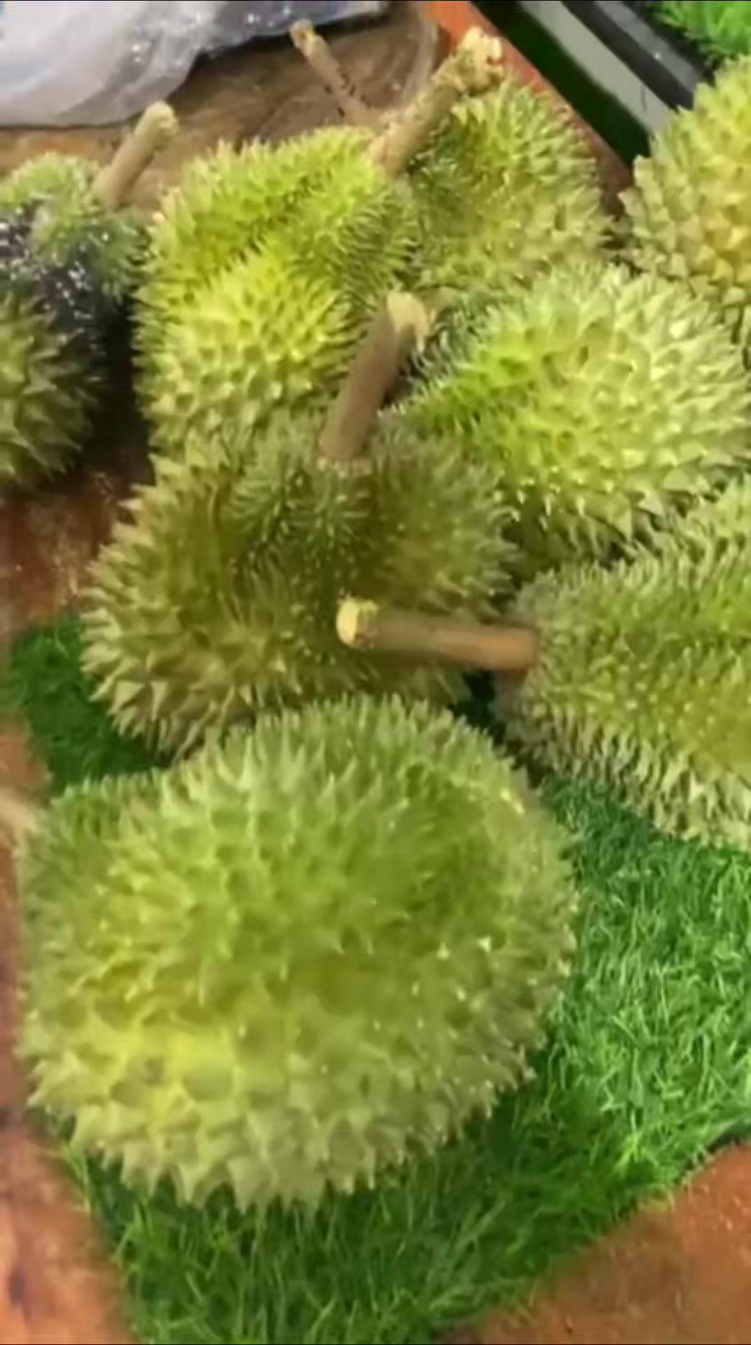 @Cicip Durian
