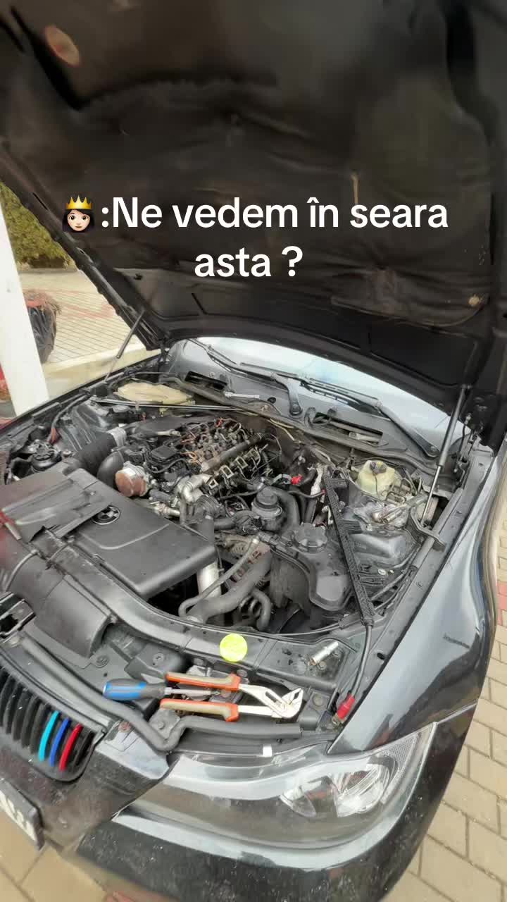 @David-Guiman