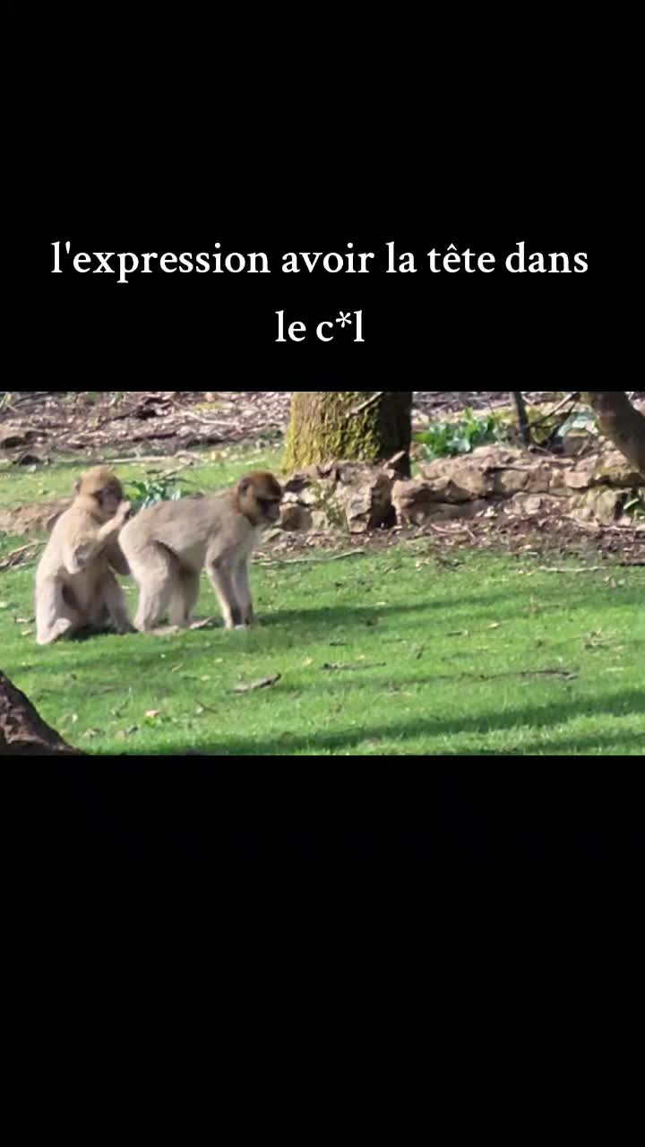 @thisma 42
