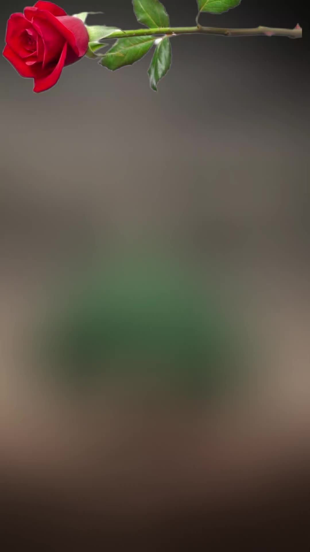 @Eshraatfurdos