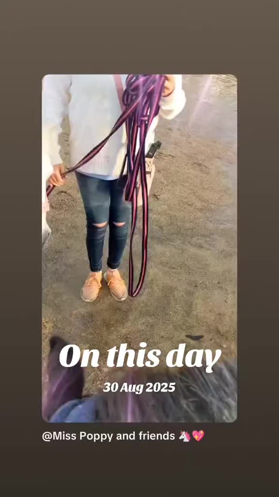 @Miss Poppy and friends 🦄💖