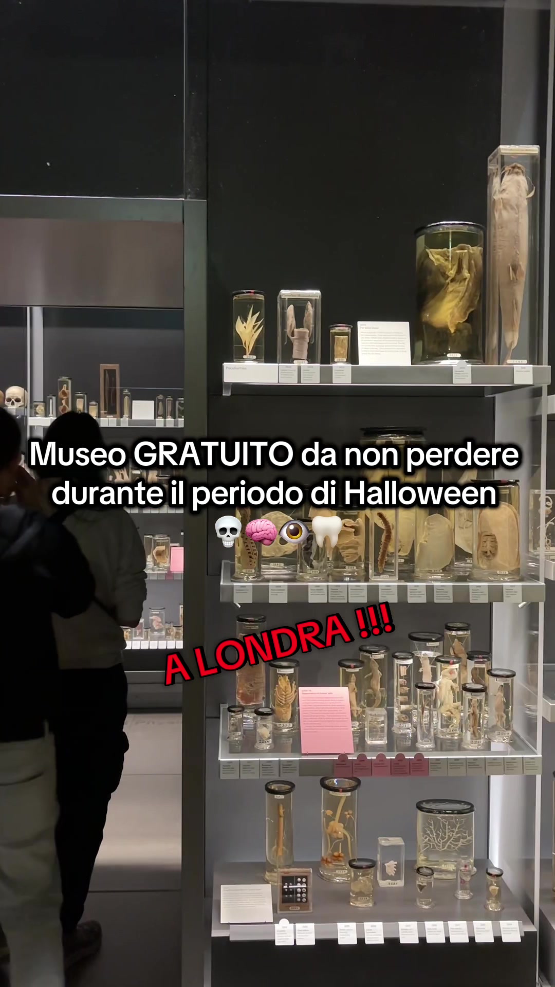 @Ginevra Rutherford