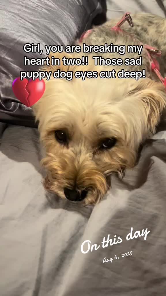 @fatjackandzoe