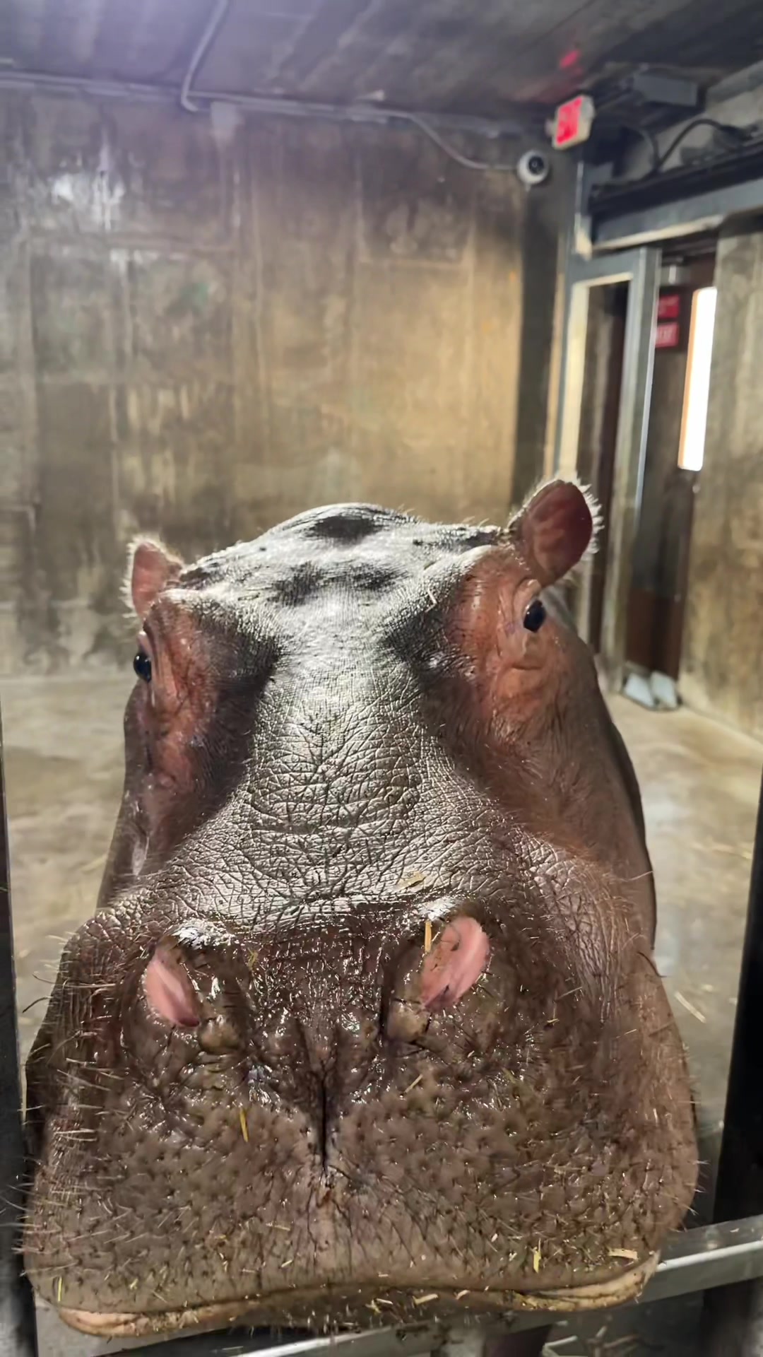 @Cincinnati Zoo