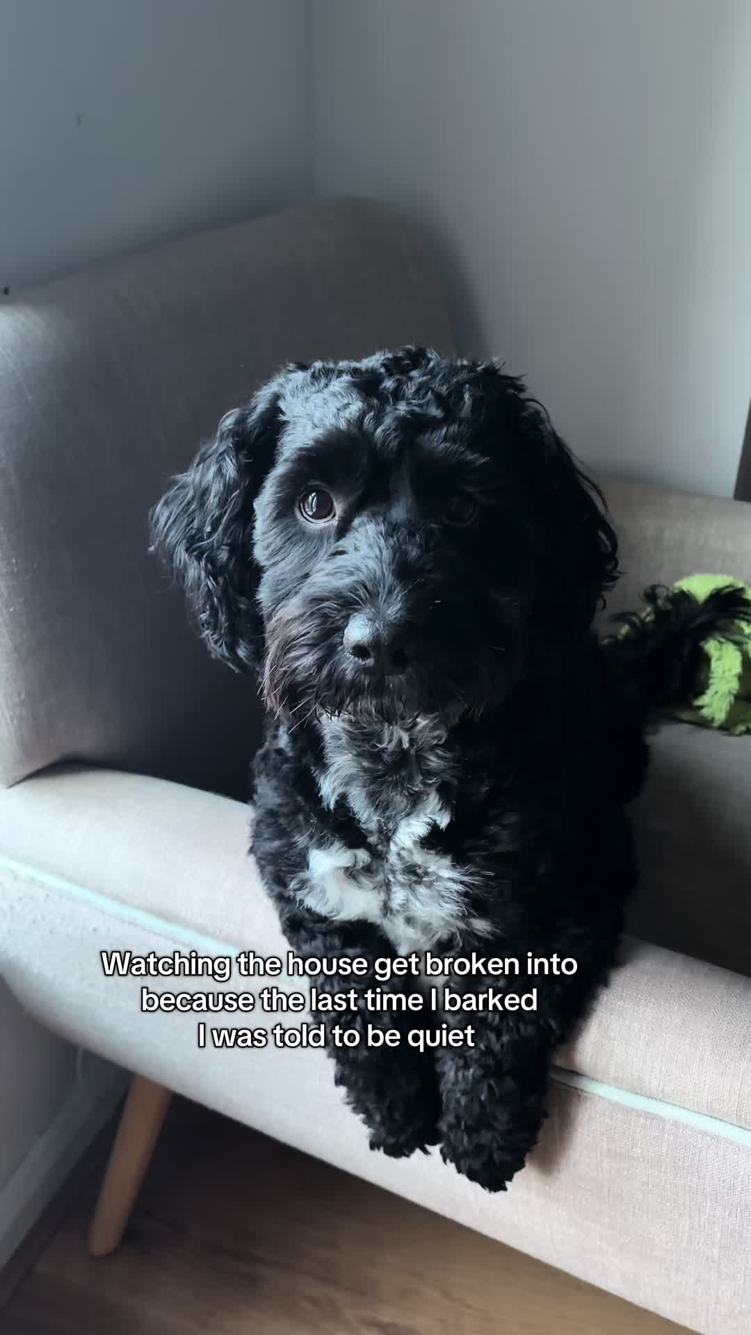 @TobyTykeTok