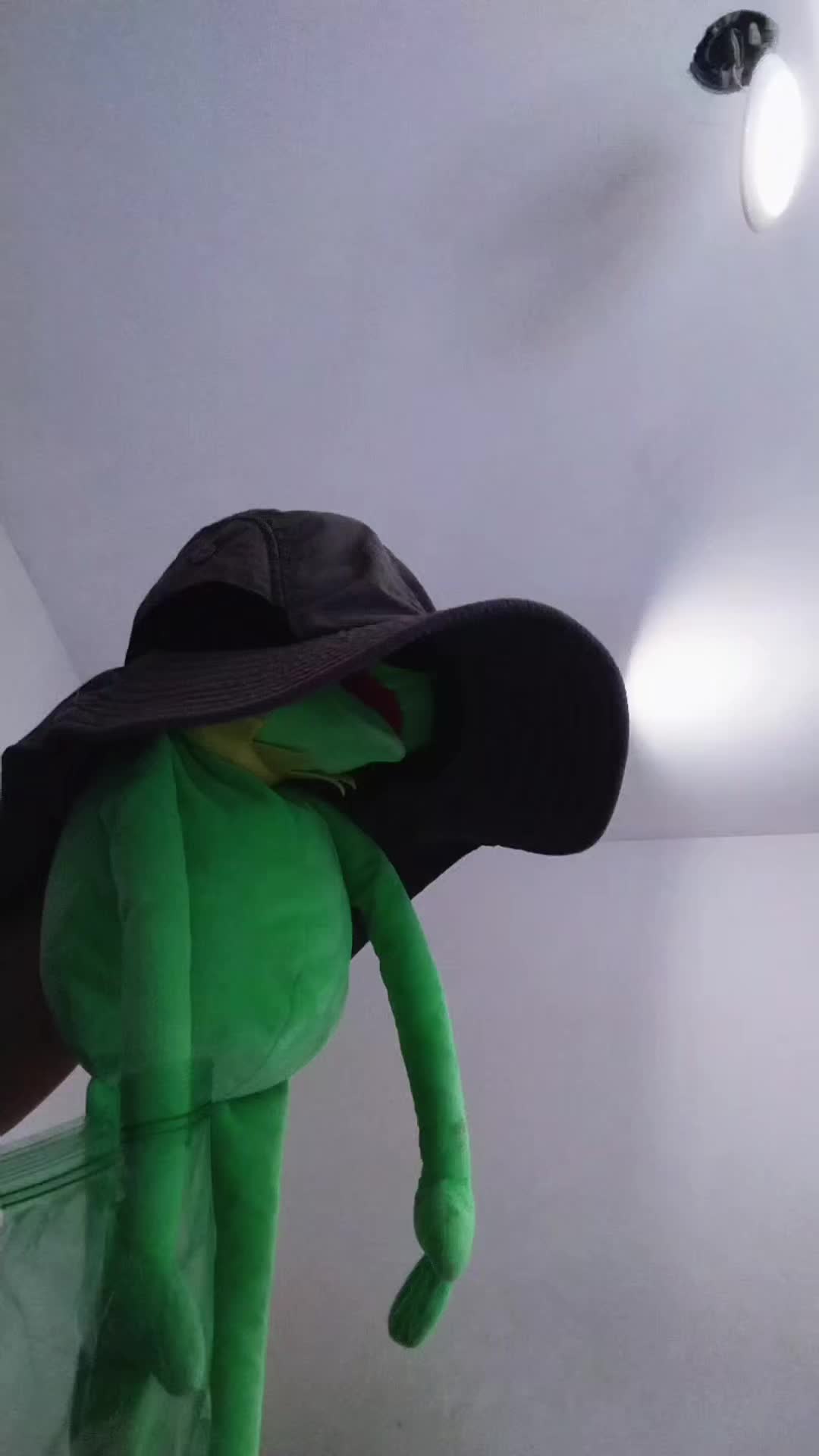 @Kermit And Friends 2026