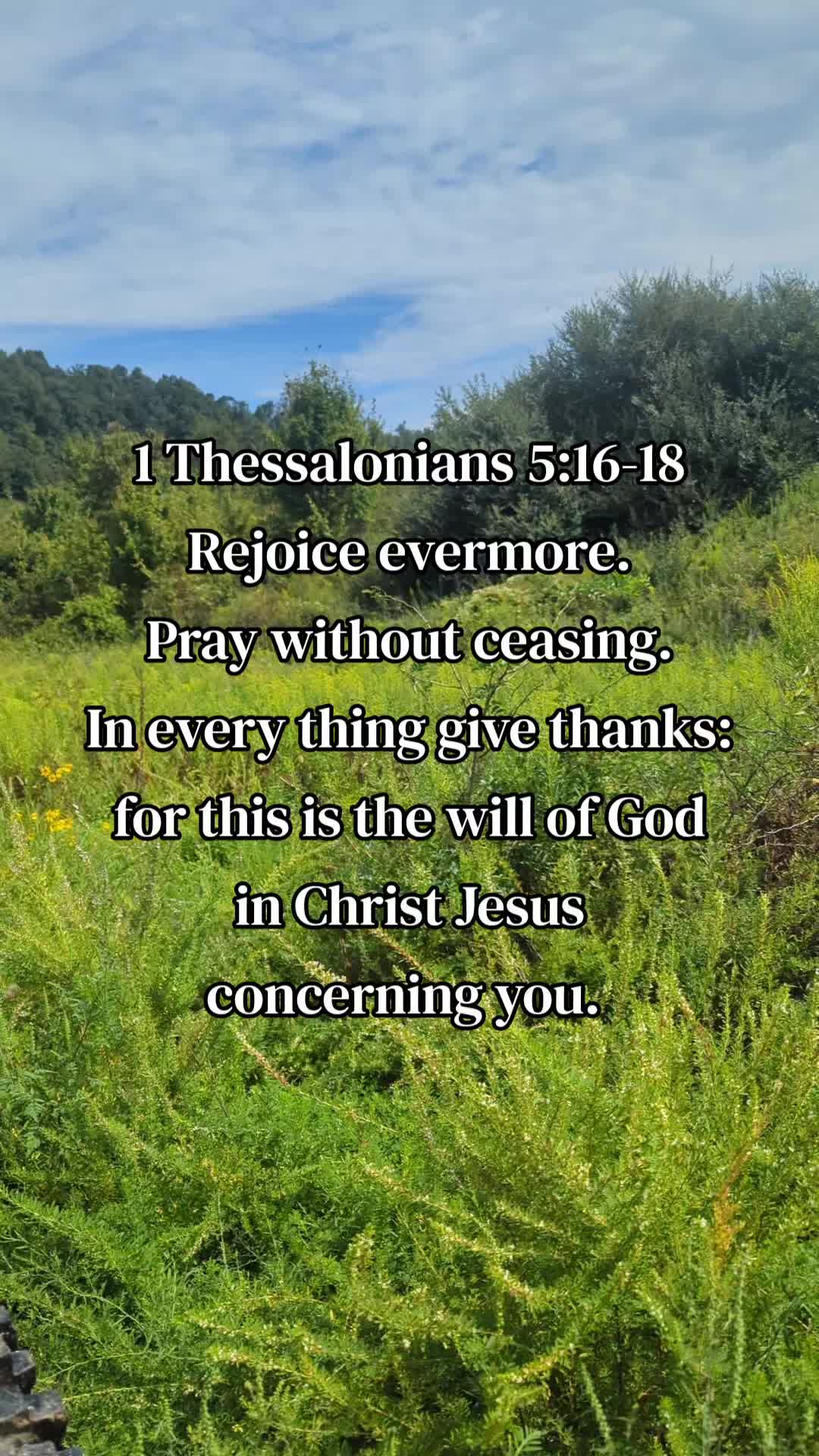@PeaceBeStill