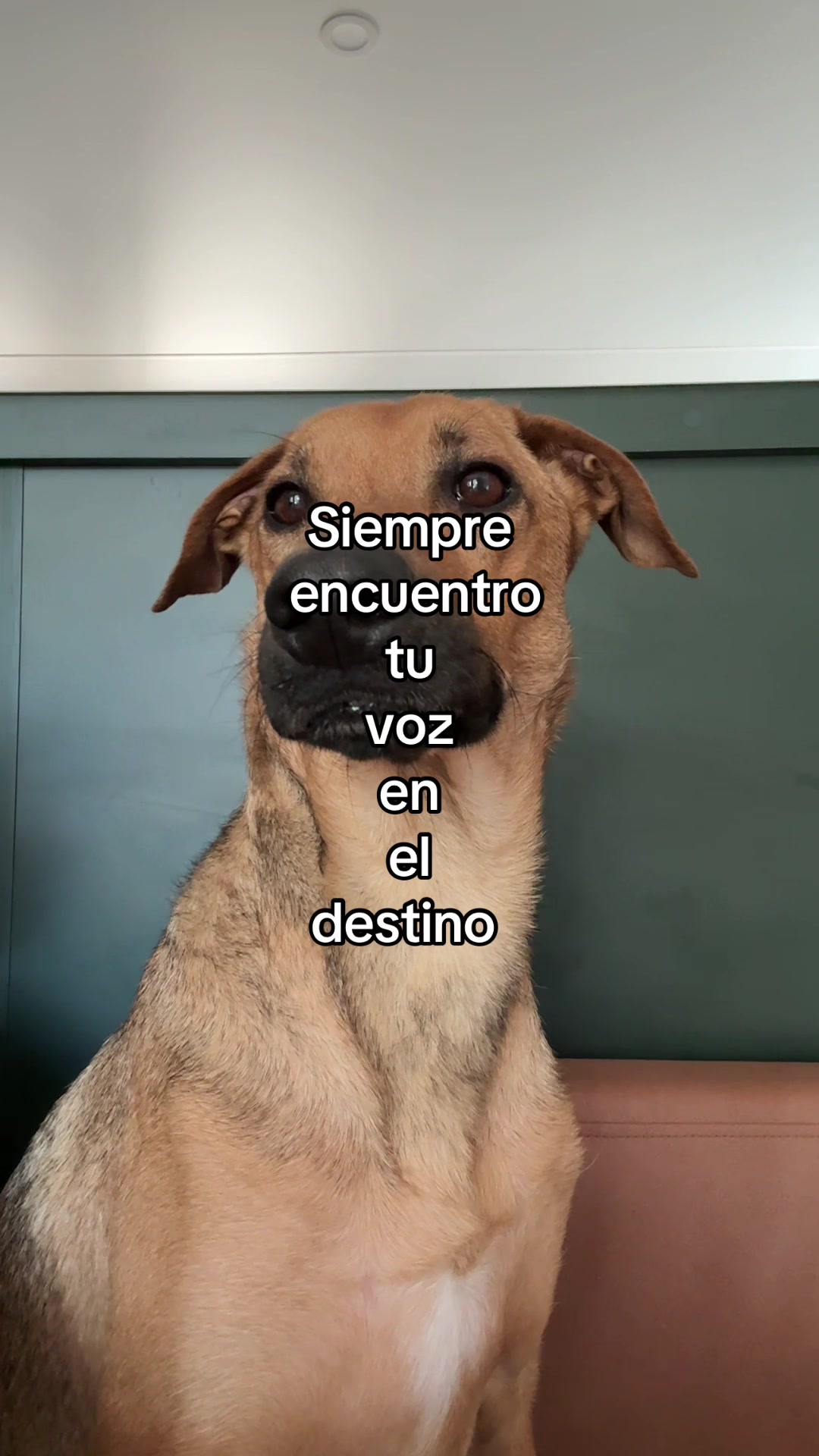@tucuentafav