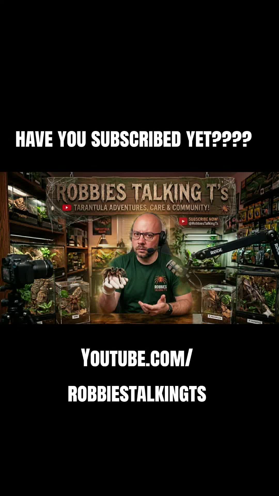 @robs BIG SPIDERS!!!