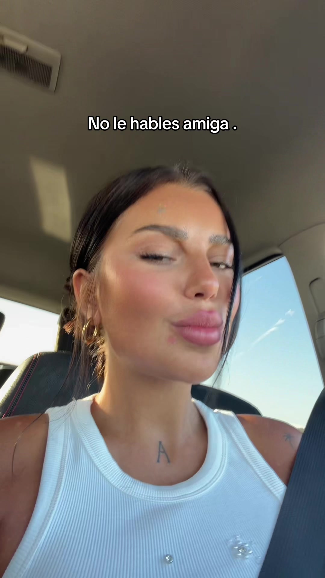 @Gabriellahahlingag