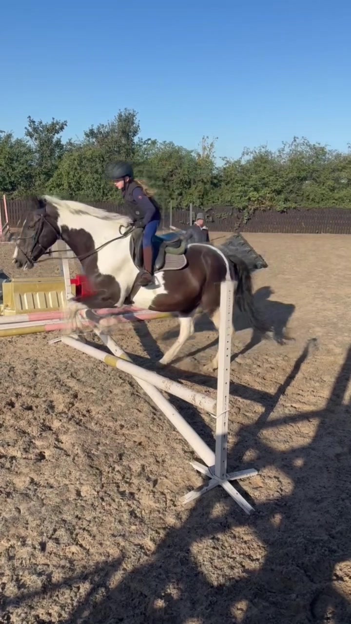 @LottiesHorseAdventures🦄🐴