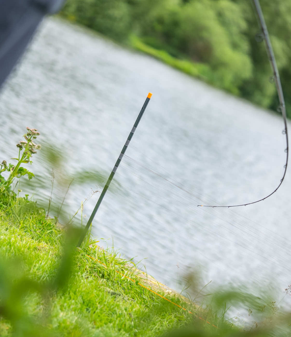 @Tackle Guru