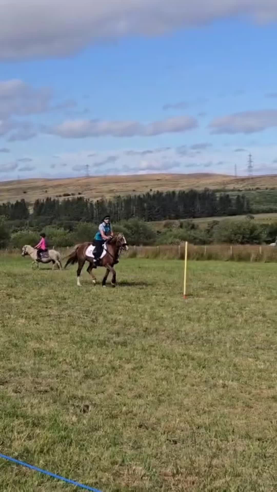 @shelbyshorseaccount