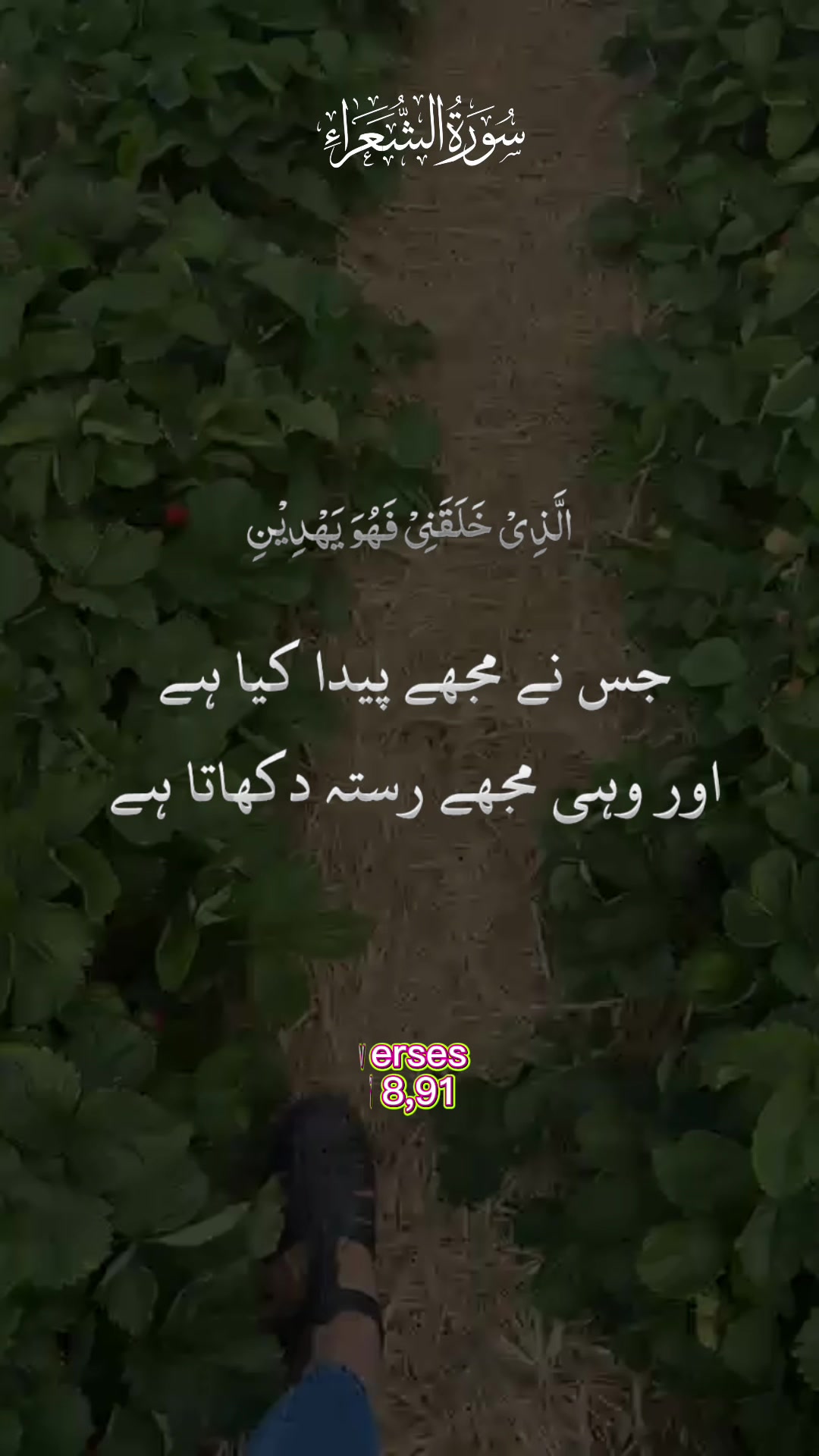 @maqrafiq