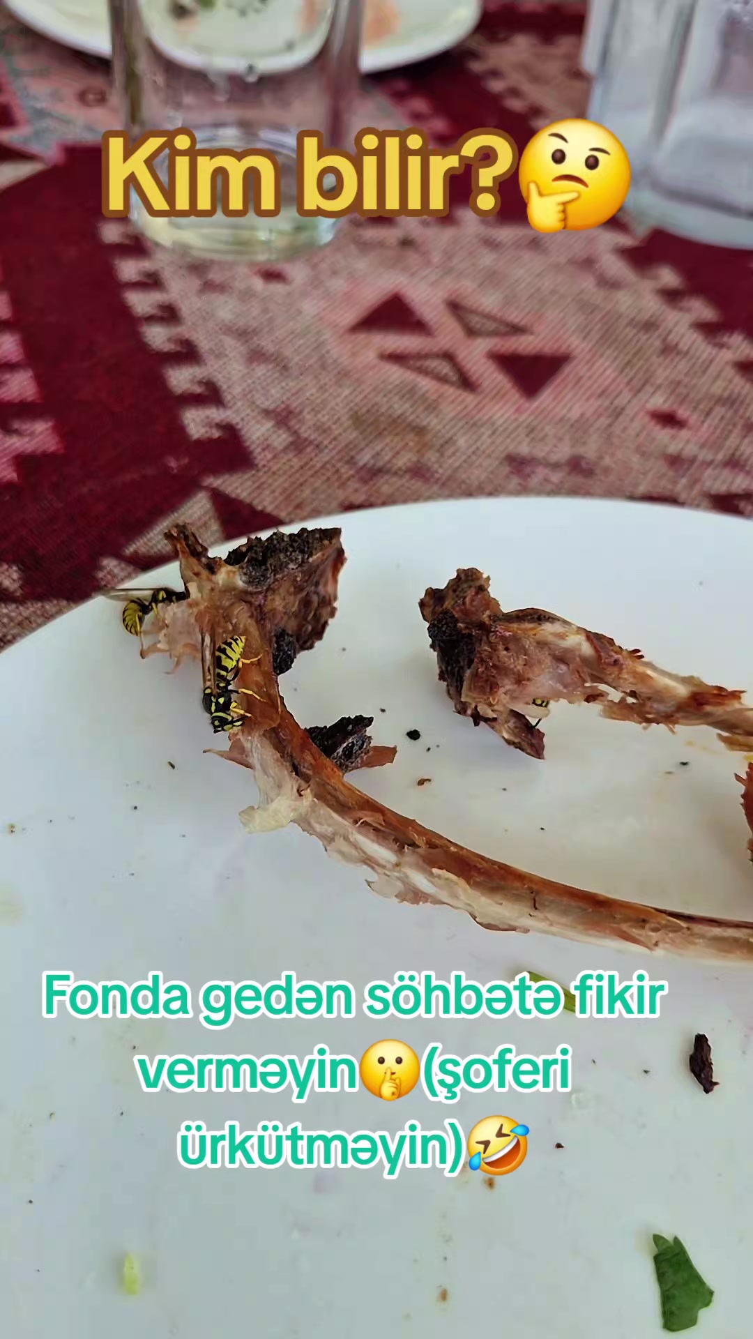 @A. Aynurə