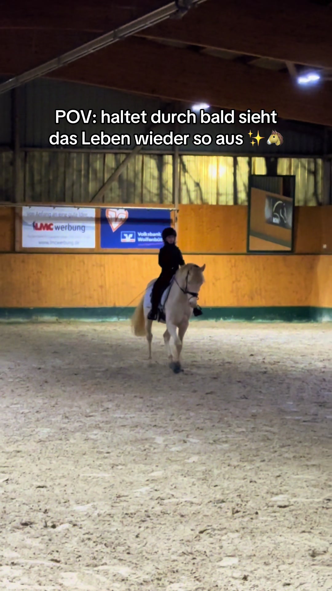 @Shanea & ihre Ponys ♥️🐴