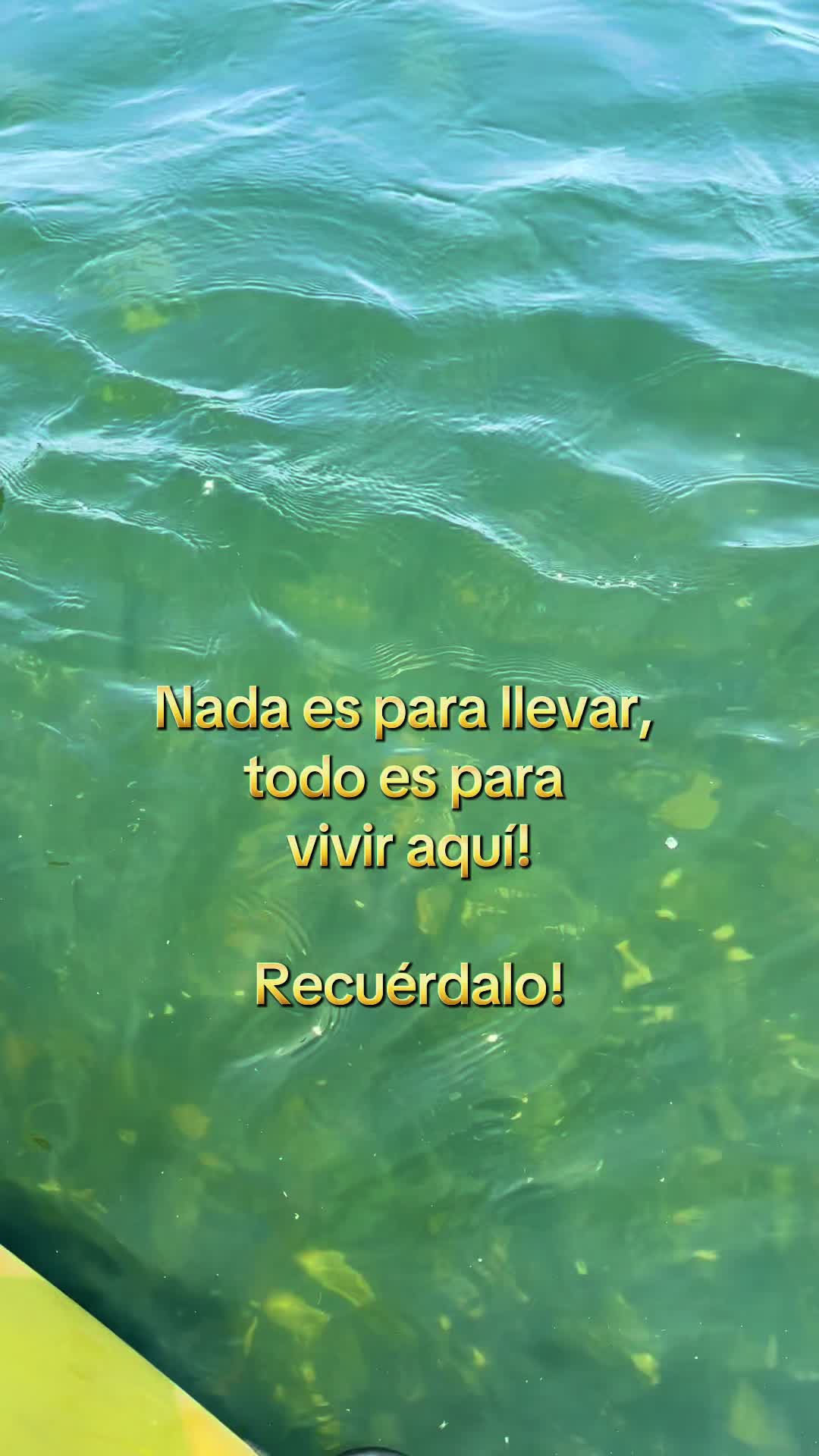 @Alepg