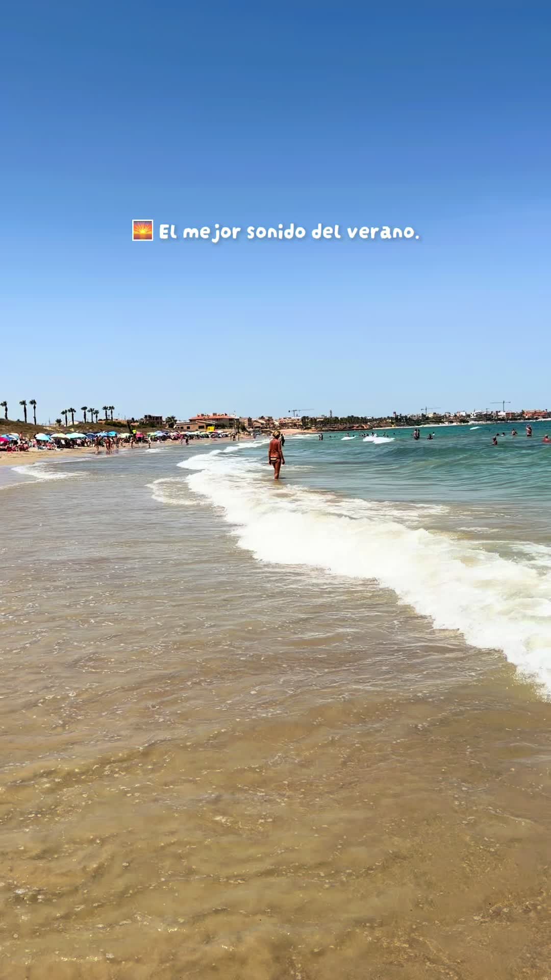 @rentacardapilardelahorad
