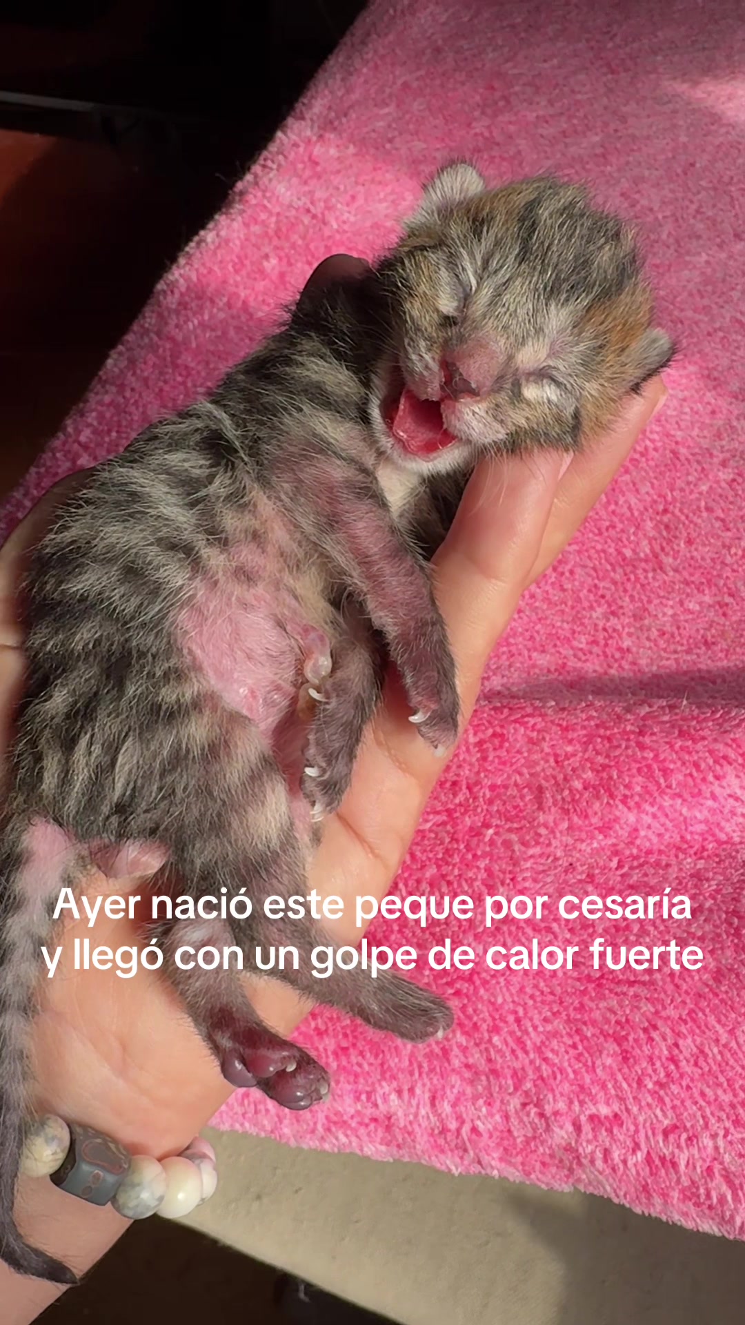 @Yolanda