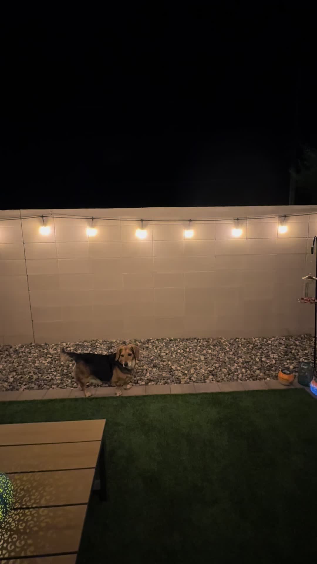 @vineanddandy