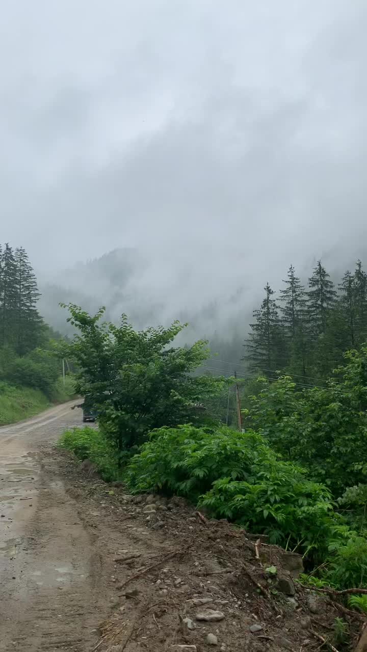 @Творческая студия ☺️