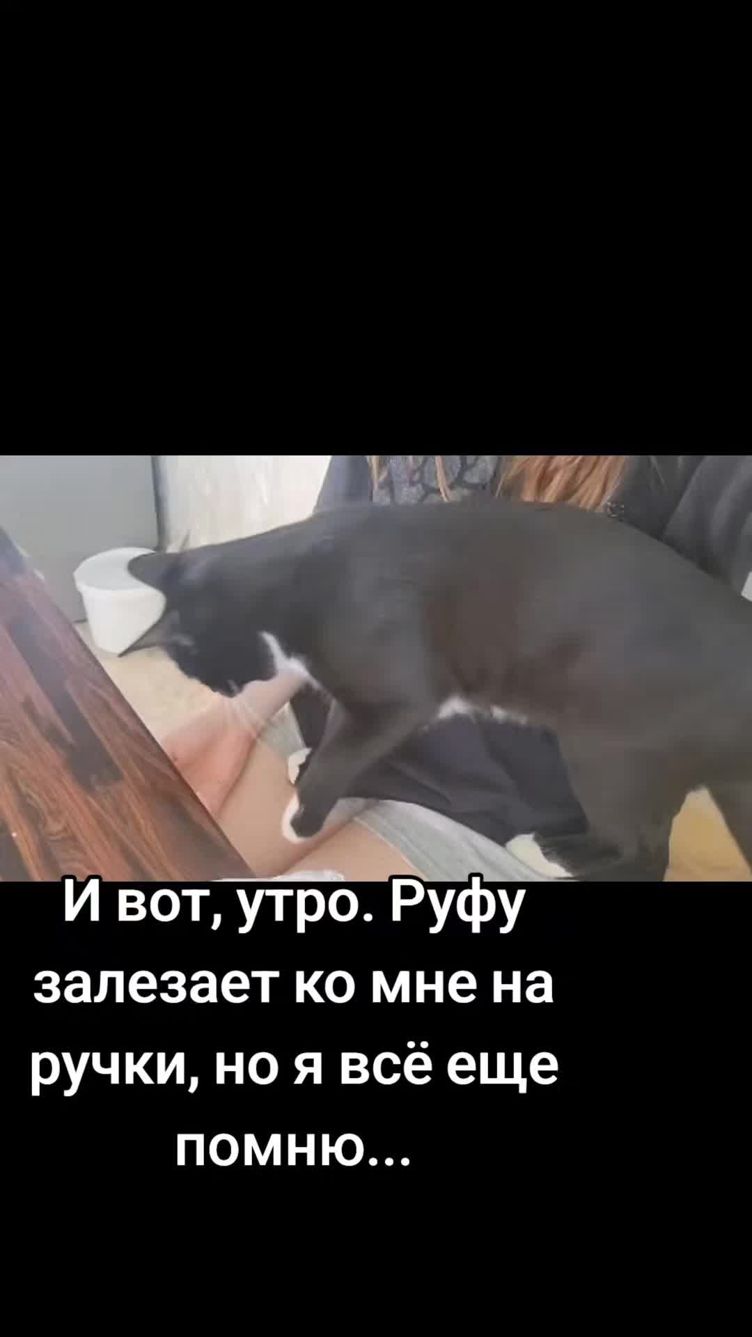 @мяу