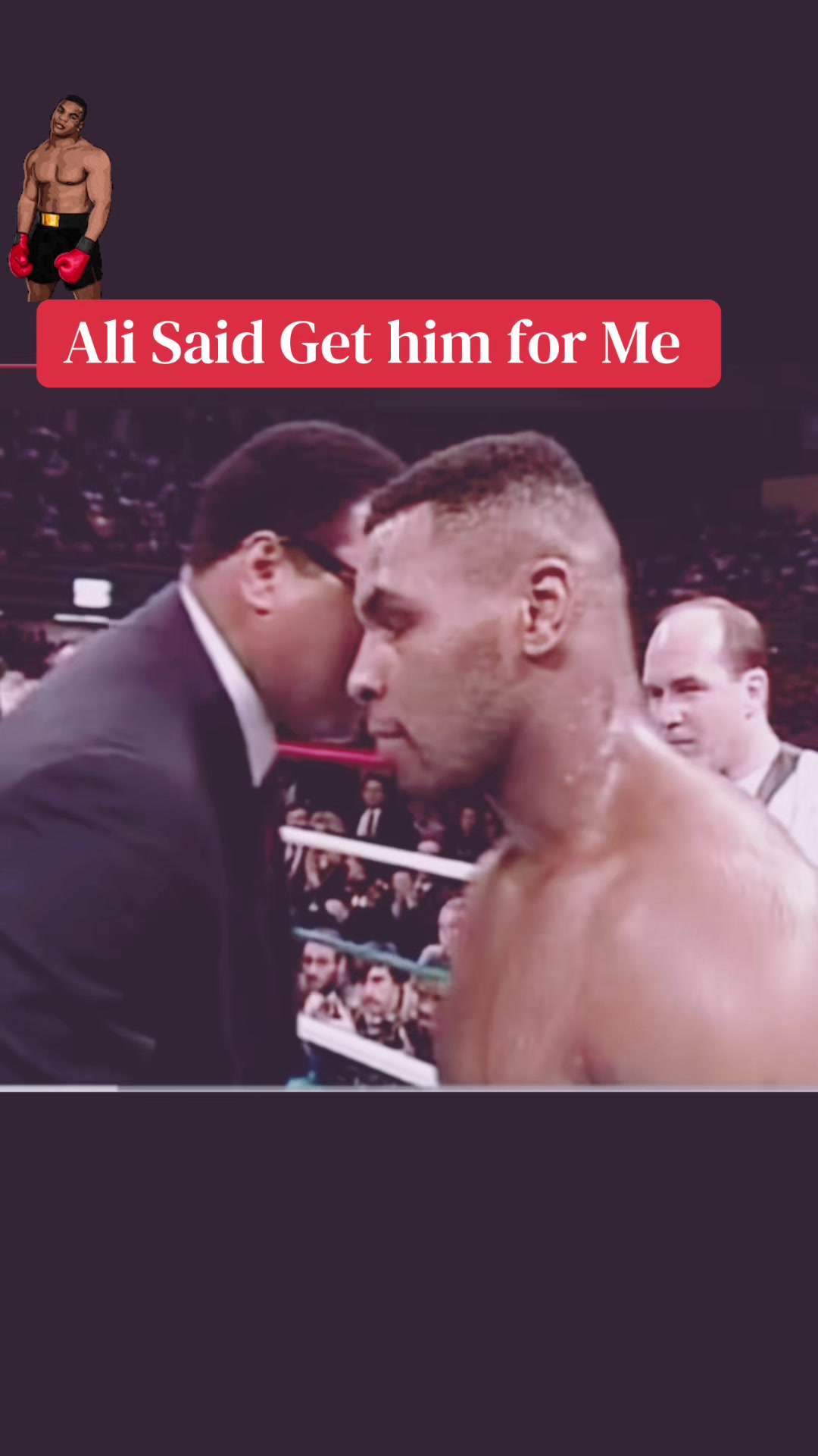 @stoicsparkboxing