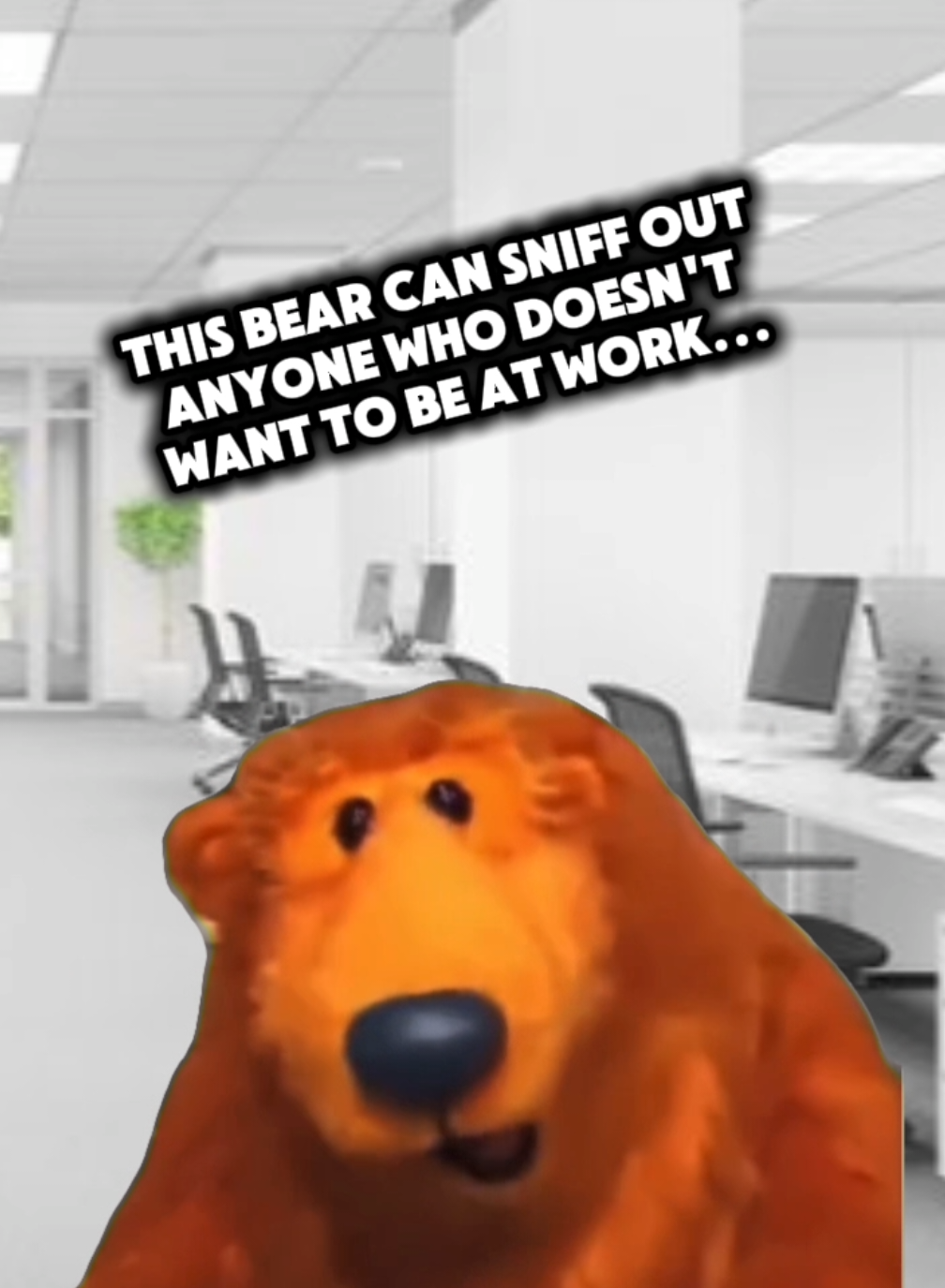 @Pup and Bear Travels