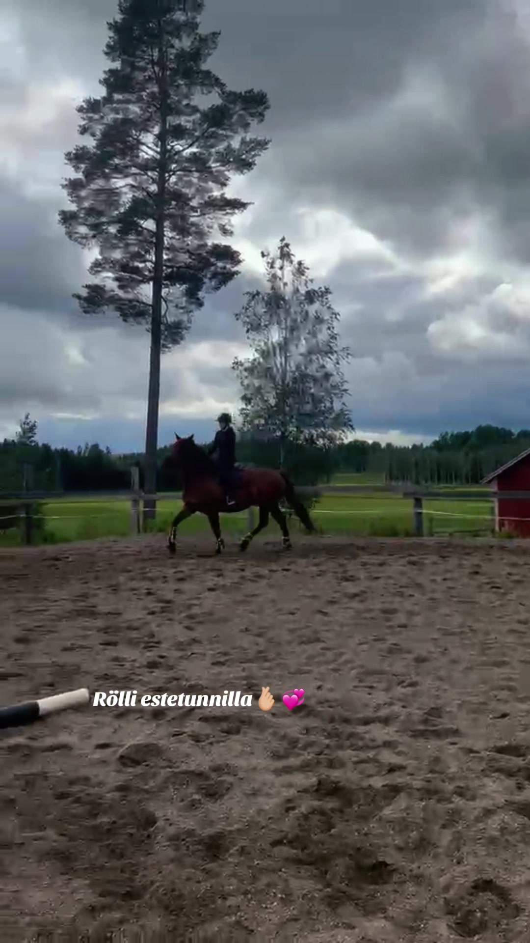 @Ponirannan talli🇫🇮🐎