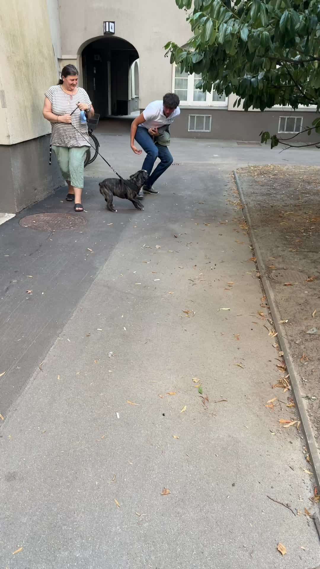 @D O N D O N