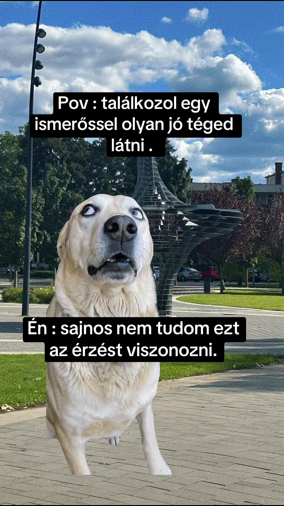 @Nem harap 🅰️ néni 🪷