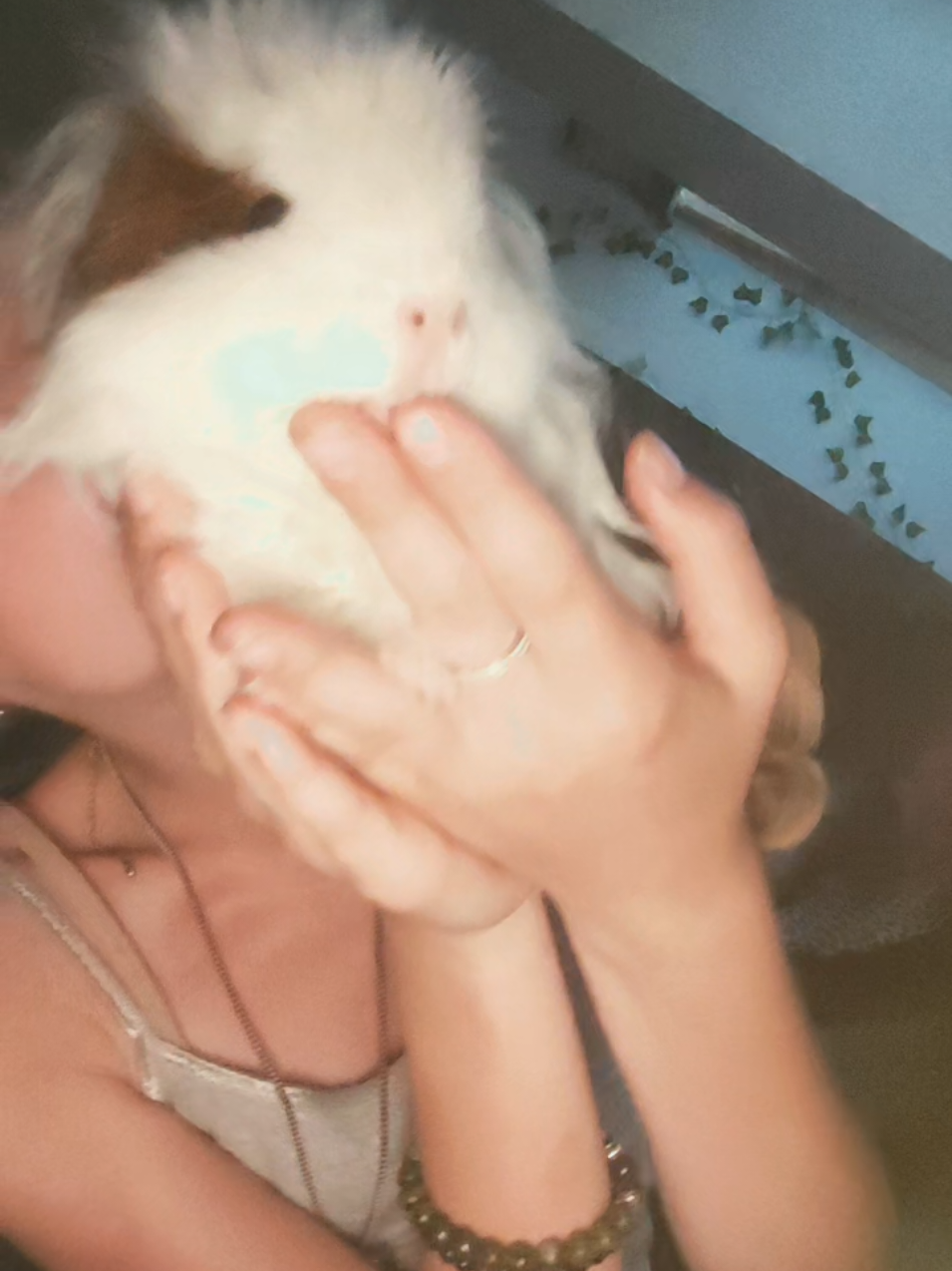 @ᥱᥣіzᥲᑲᥱ𝗍ᥱһһ丰