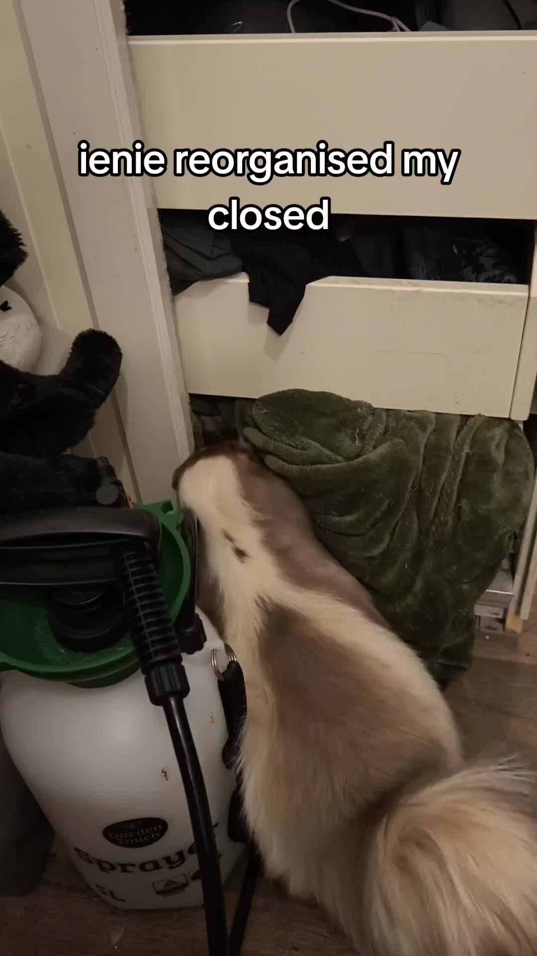 @Bestiesbeasties