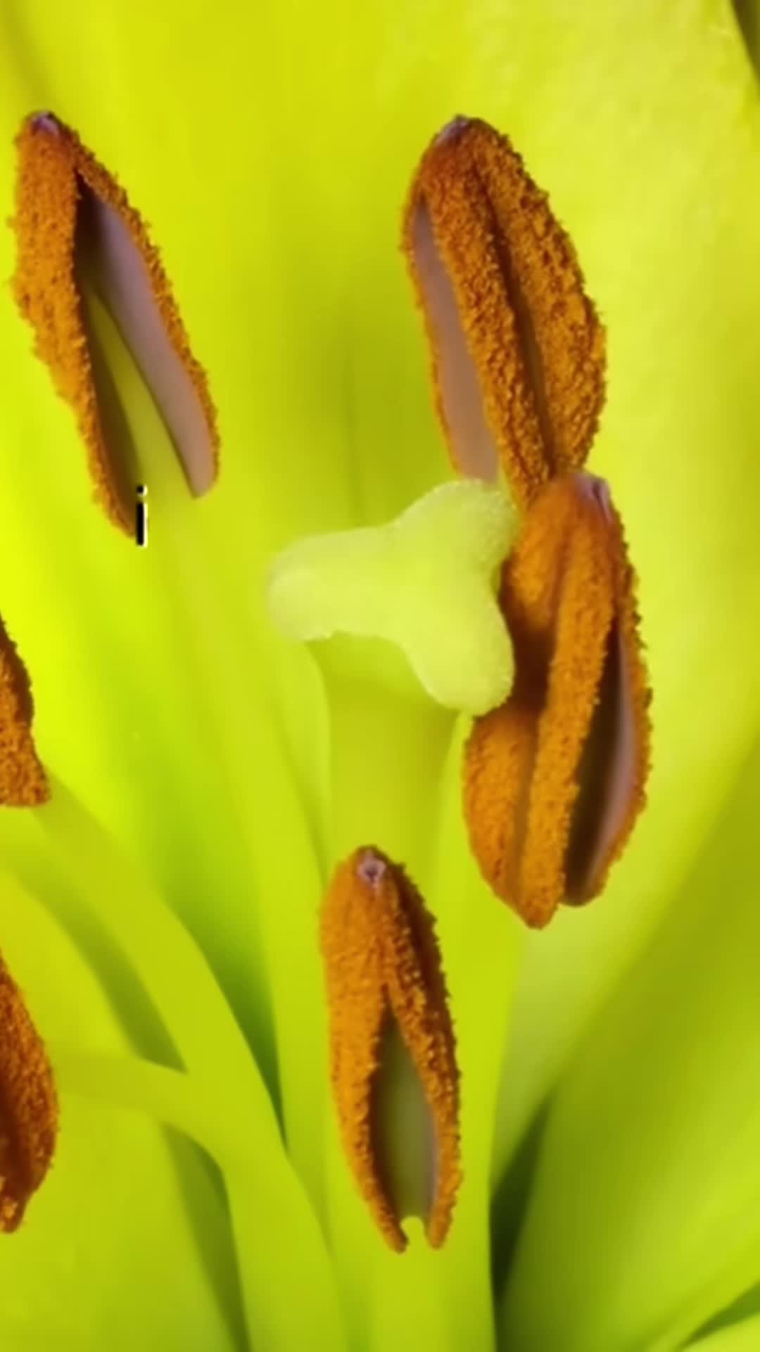 @Systematic_Lyrics