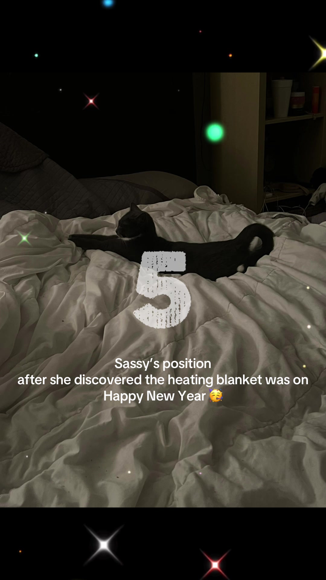@Leslie 💅❤️🐕🐈⬛🐈🐈⬛🐈🐈🦜
