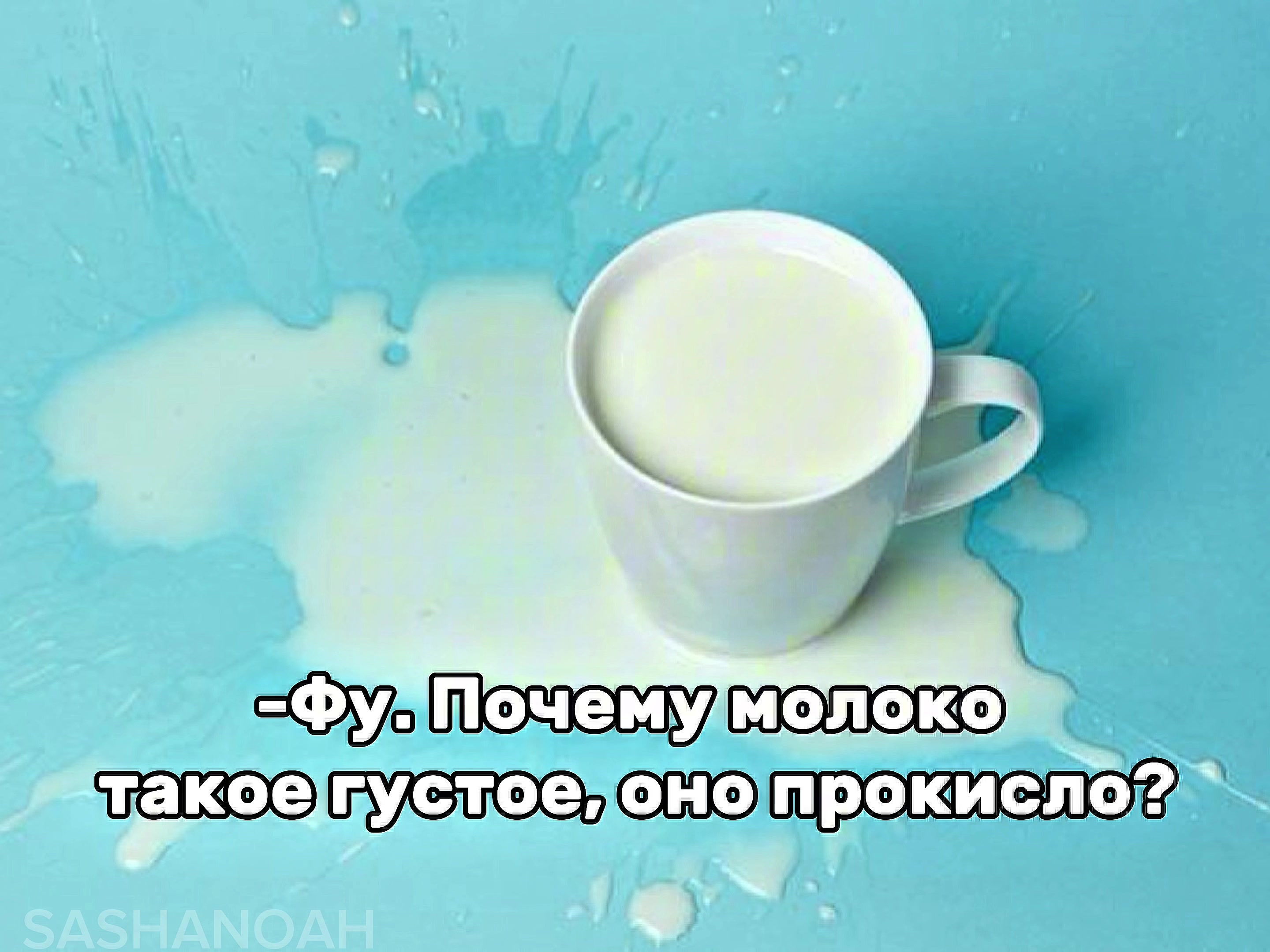 @Sasha Noah