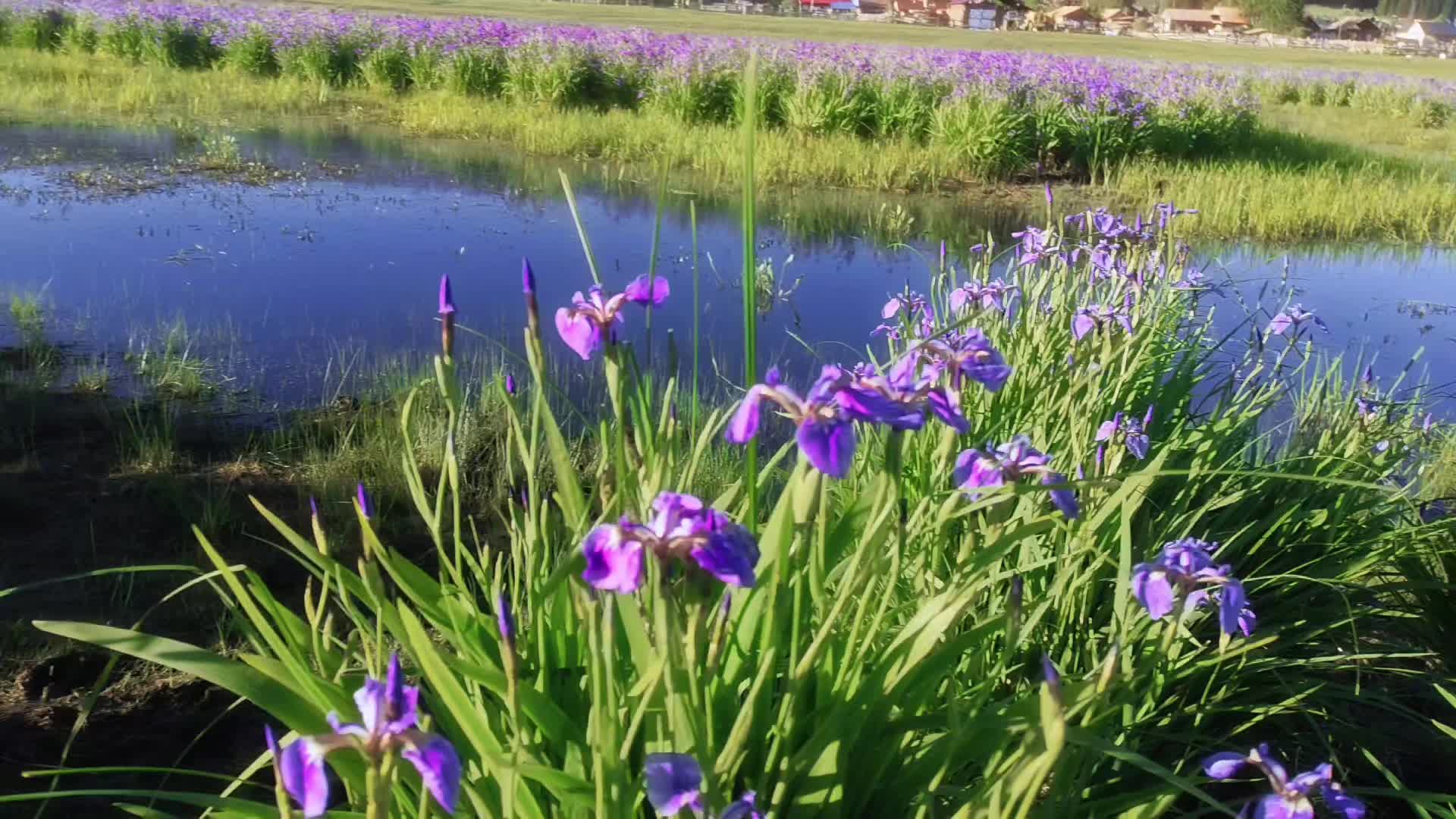 @ᛉSteve_Nybikᛉ