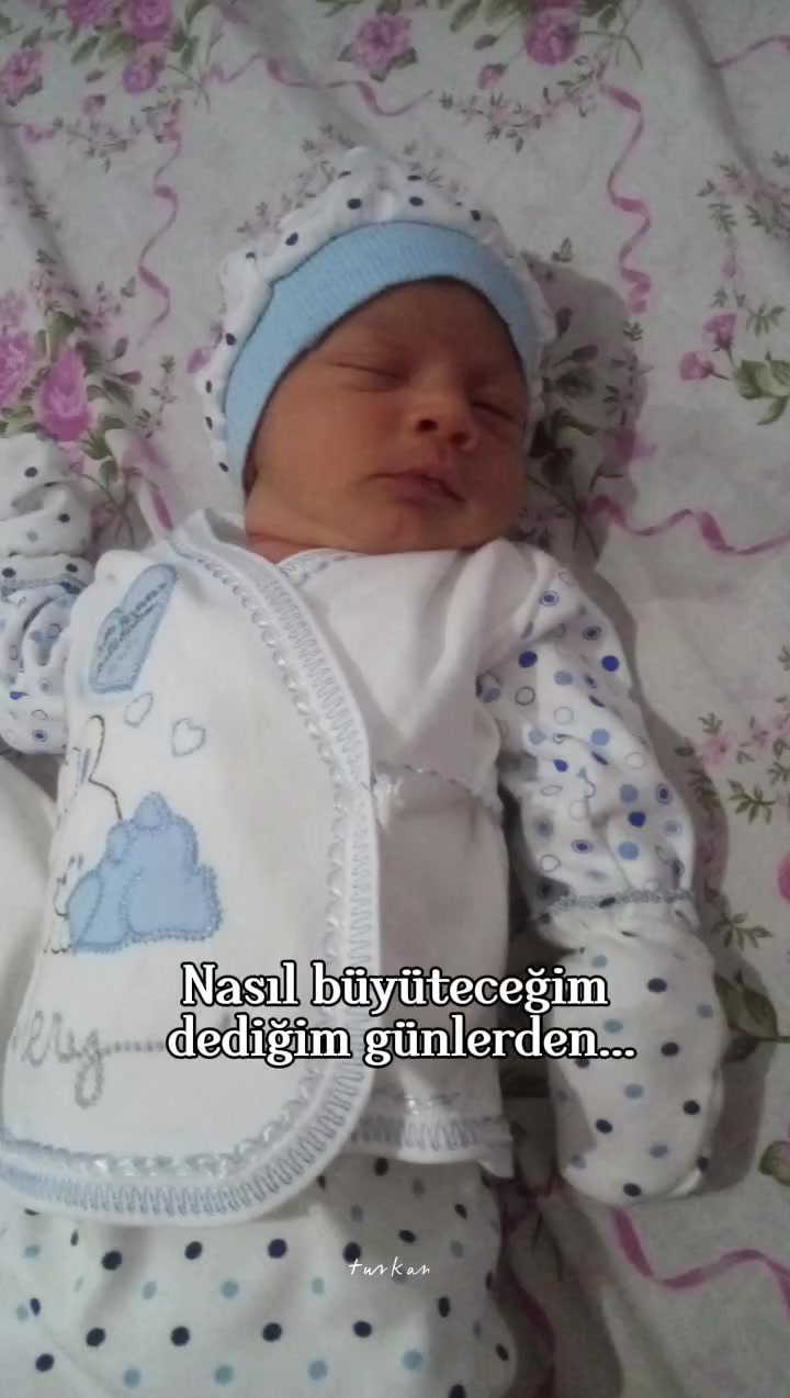 @Ayşegül Akar