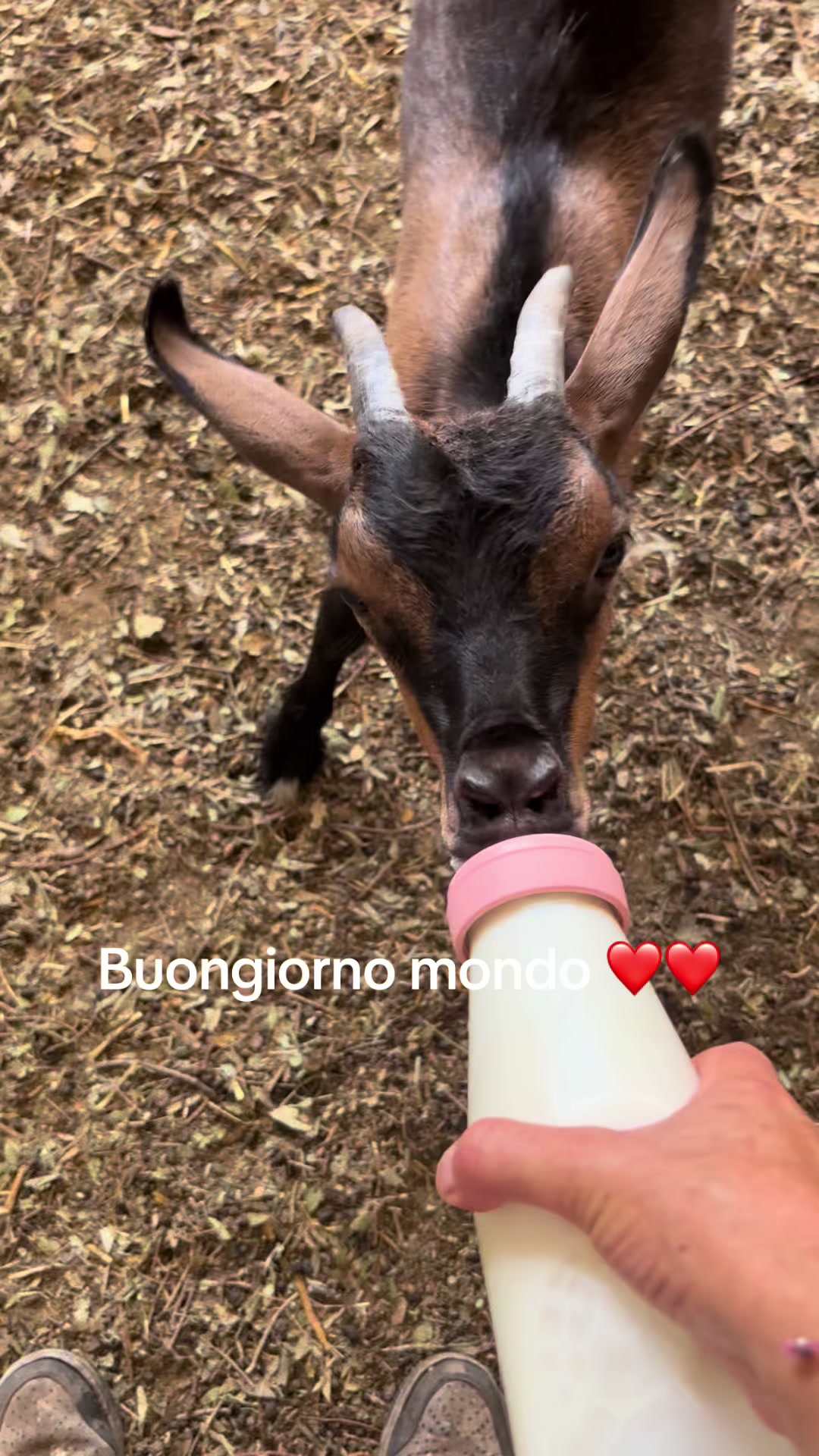 @B🌸N🌸Giovanna nigro