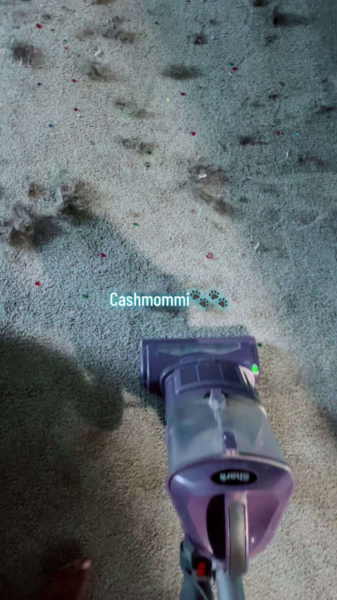 @CashmommiVacs