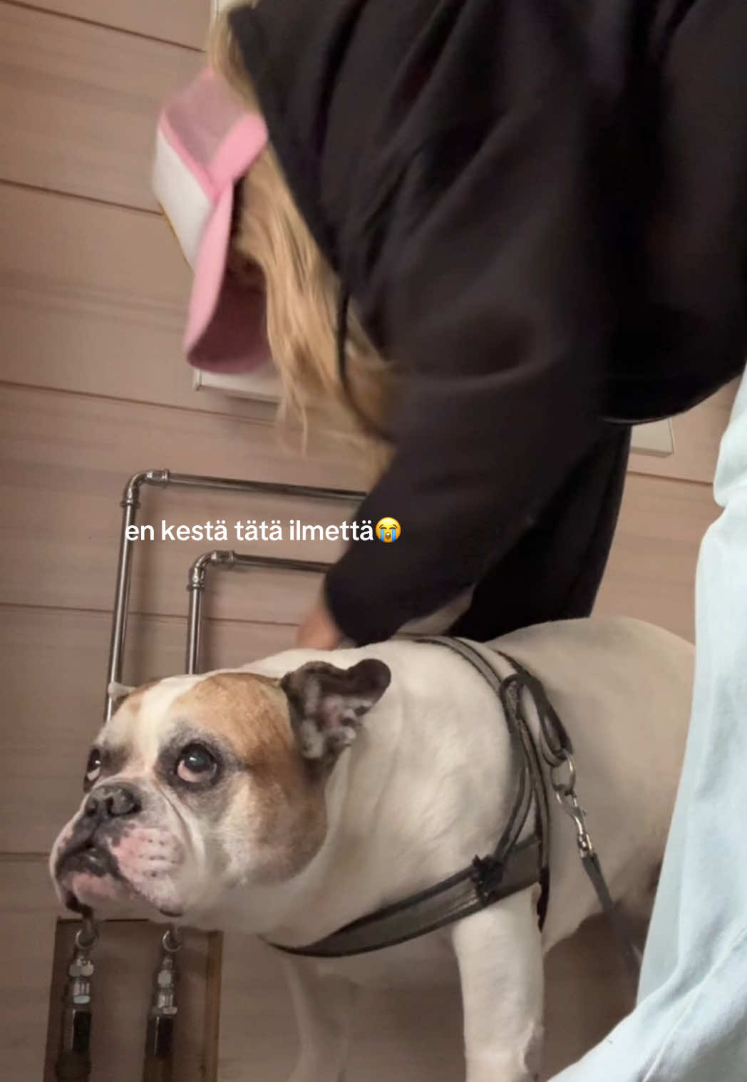 @Erna-Anna Husko
