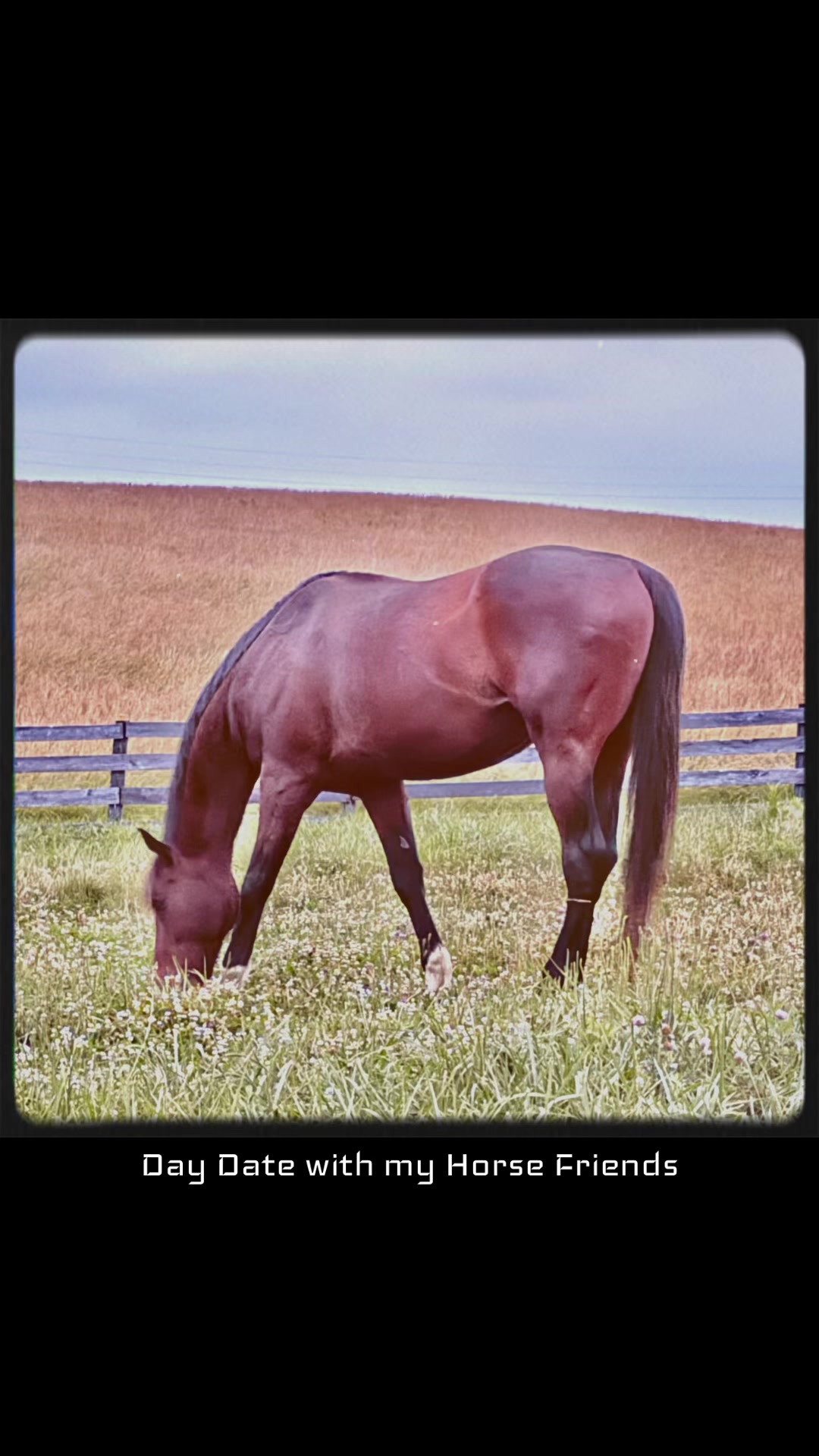 @Danigurl🦮🏇🌅🏳️&zwj;🌈